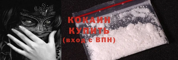 стафф Арсеньев