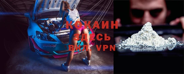 стафф Арсеньев