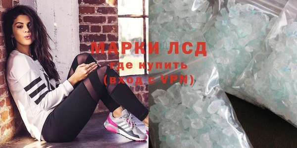 стафф Арсеньев