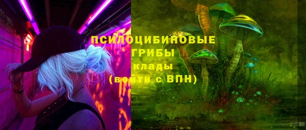 молекула духа Баксан