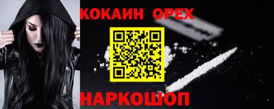 гашик Кунгур