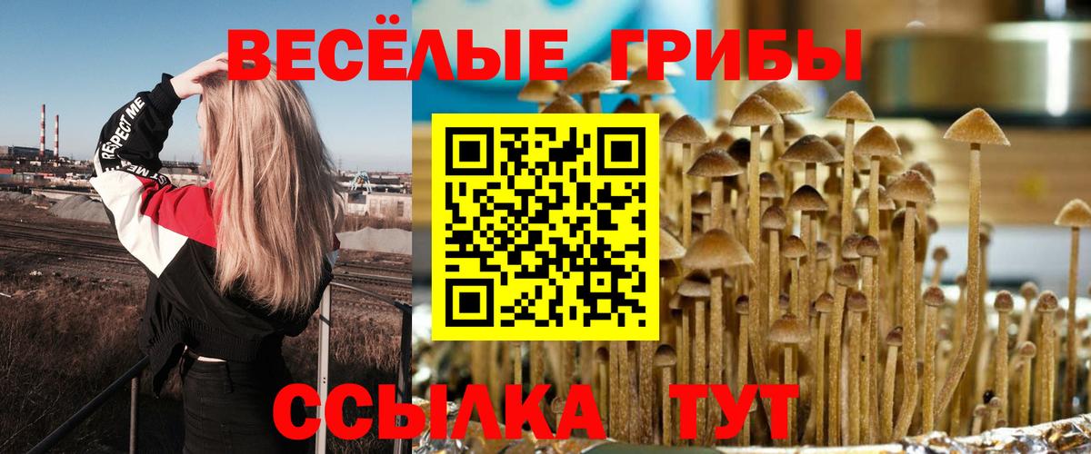 Галлюциногенные грибы Magic Shrooms Долгопрудный