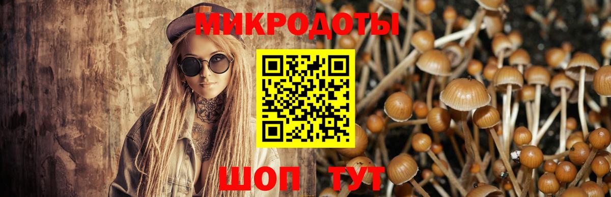 Псилоцибиновые грибы ЛСД  Вход с VPN  Долгопрудный  Псилоцибиновые грибы ЛСД 